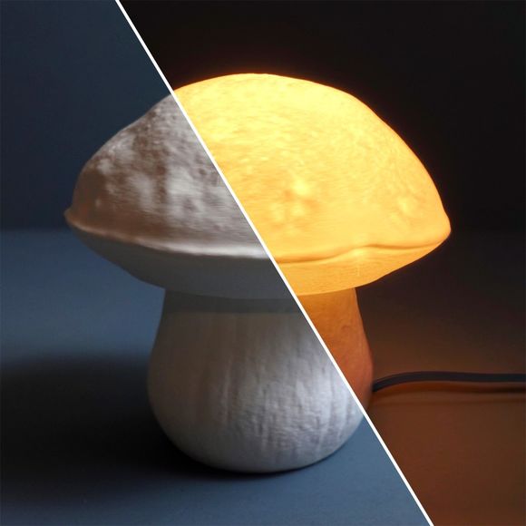 Gazzaladra Edulisfungus Organic Table Lamp, Bedroom Lighting - Picture 4 of 10